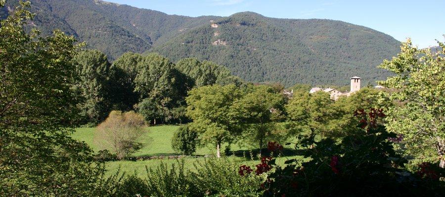 Hotel Vina Olivan Sarvisé Zewnętrze zdjęcie